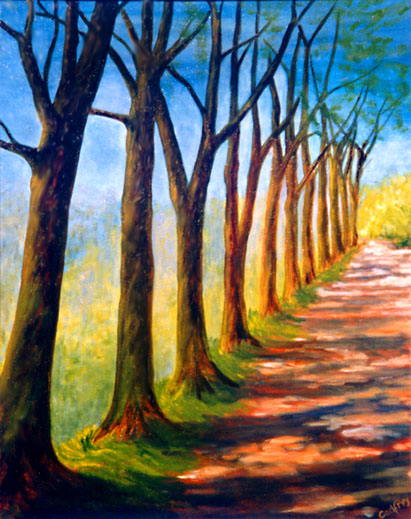 Avenue of Trees